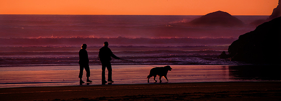 Senior Couple Walking on Beach with Dog at Sunset Is Retirement Income Taxable California